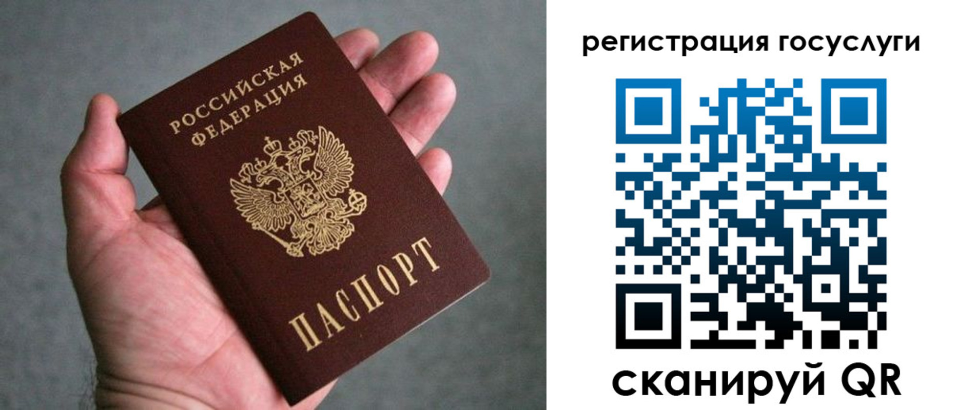 прописка поиск в Покрове